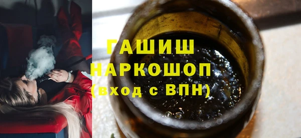 гидра Коряжма