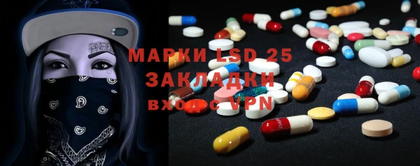 гидра Коряжма