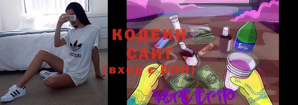 гидра Коряжма