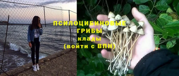 гидра Коряжма