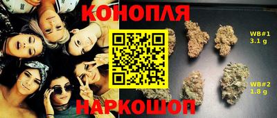 стаф Балахна