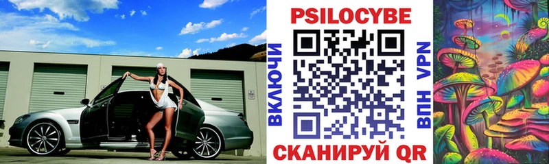 Псилоцибиновые грибы Psilocybine cubensis  Таганрог 