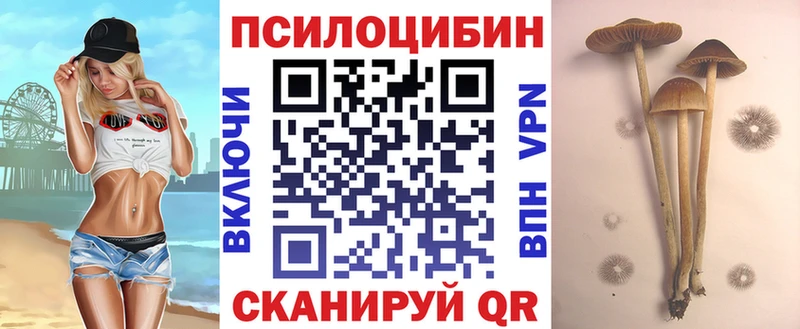 Галлюциногенные грибы прущие грибы Таганрог