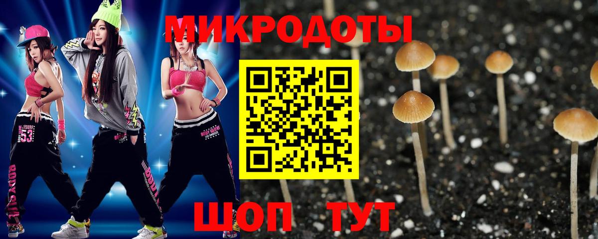 Псилоцибиновые грибы Psilocybine cubensis Таганрог